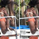 Look at 28 Serena Williams’ private pictures that’s dazzled everyone — Six talking points Serena Williams enjoys a day on the beach with her friends in South Florida Beach