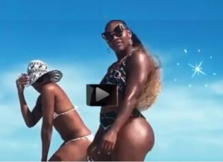 Dazzling Venus Williams kills it with her electrifying twerking performance Venus and Serena Williams have been enjoying some beautiful sun