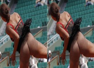 Look at Venus Williams’ 20 private photos that’s dazzled everyone — Six talking points Venus Williams at it again on the court