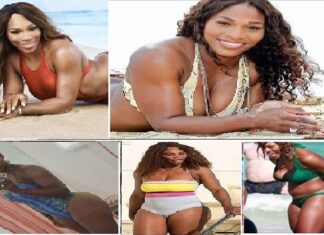 Look at 26 Serena Williams’ private pictures that bedazzled everyone… A Serena Williams captures again